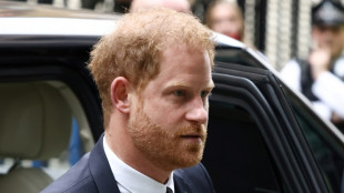 Prinz Harry scheitert mit Klage für Polizeischutz bei Großbritannien-Besuchen