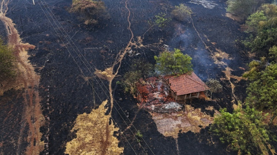 Incêndios no estado de São Paulo foram apagados, diz Tarcísio de Freitas