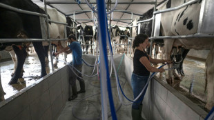 Brazil's Minas cheese gets added to UNESCO list