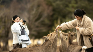 The squad saving deer from tourist trash in Japan's Nara