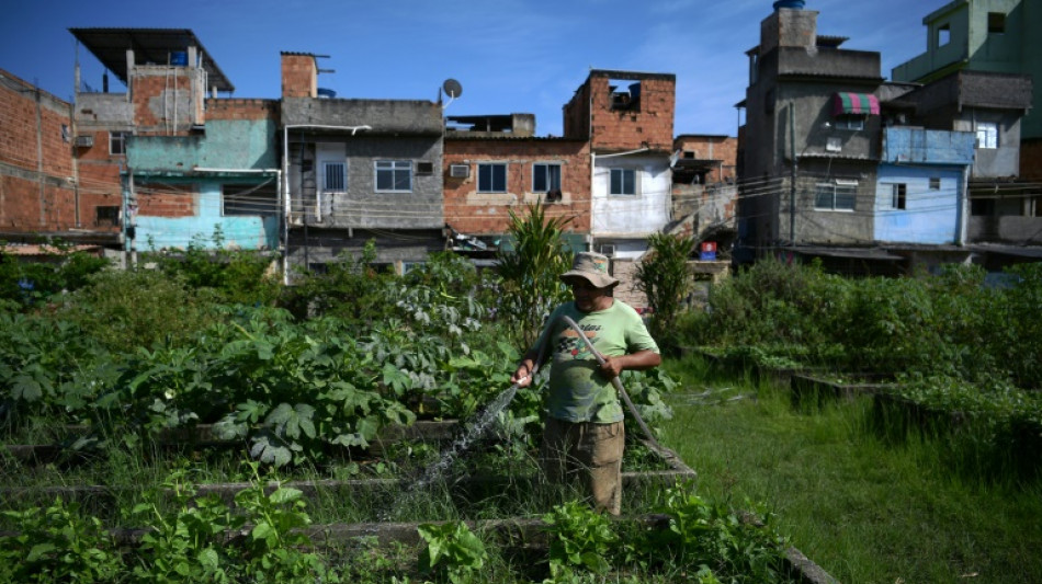 Rio's urban gardens produce healthy food for the poor