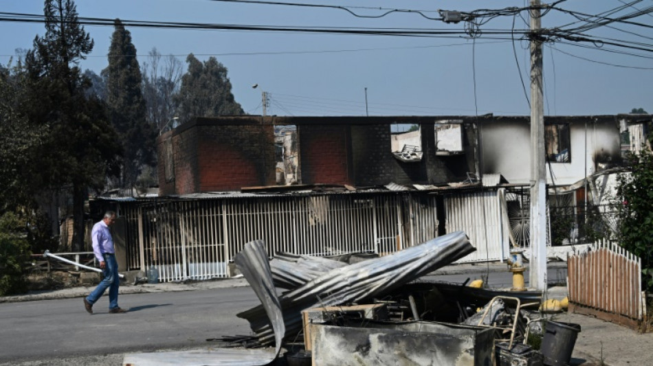 Präsident: Mindestens 46 Tote bei Waldbränden in Chile