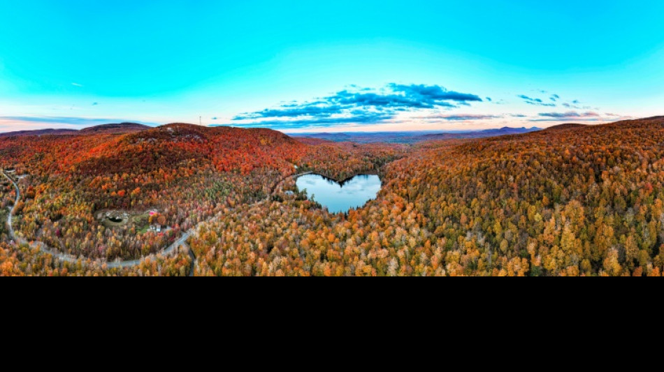 Riot of color draws fall tourists to Canadian mountaintop