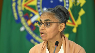 COP29: Marina Silva diz que 'presentes de Deus' energéticos devem ser consumidos com moderação