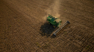 La UE propone un tope a las importaciones agrícolas desde Ucrania