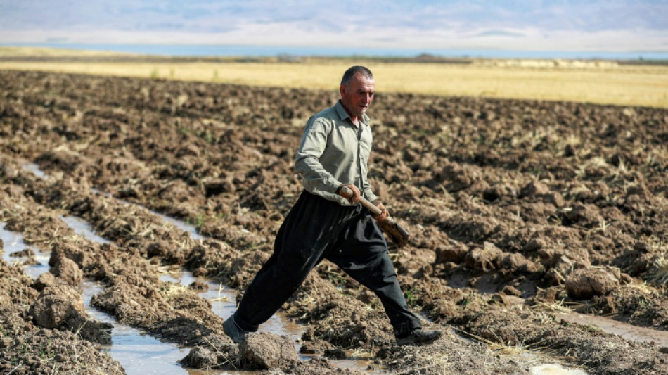 Agricultores kurdos de Irak en peligro por retroceso del lago Dukan