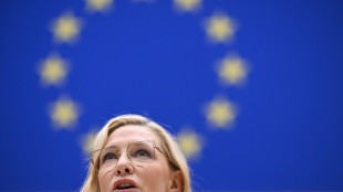 Cate Blanchett denuncia 'perigosos mitos' sobre refugiados perante eurodeputados