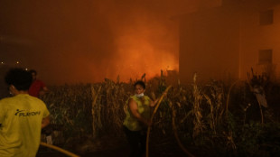 Tausende Feuerwehrleute kämpfen in Portugal gegen Waldbrände - Sieben Tote