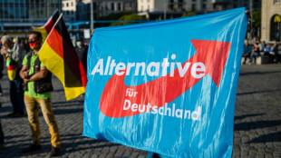 Korruptionsvorwürfe in AfD Niedersachsen: Landeschef erringt juristischen Sieg