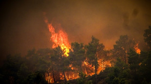 Canicule : le feu force des milliers d'évacuations en Grèce, les Etats-Unis étouffent