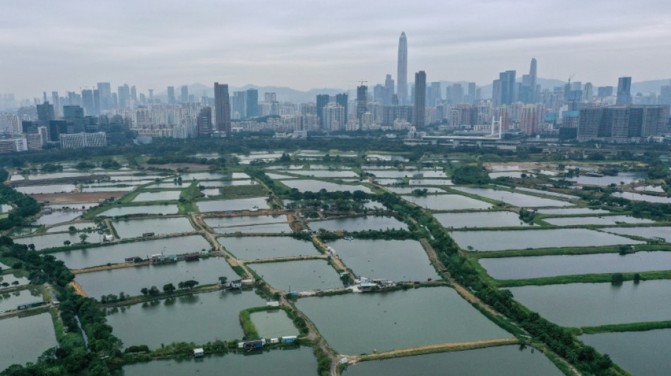 Hong Kong mega development plan to devour villages, wetlands