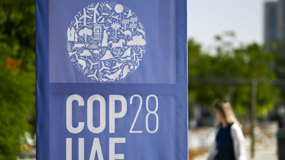 Monarques, carbone et dollars: une COP28 hors norme s'ouvre à Dubaï