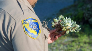 Un surcoreano traficante de plantas es encarcelado en EEUU