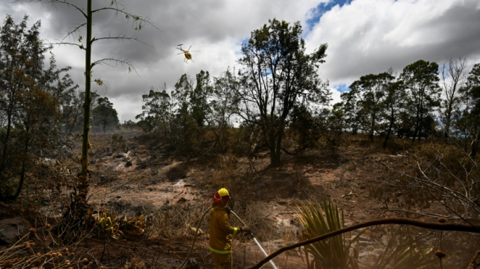 Las autoridades temen un aumento del balance de muertos en Hawái, que ya roza el centenar