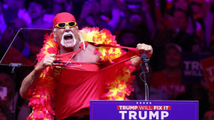 L'appello della leggenda del wrestling Hulk Hogan, votate Trump