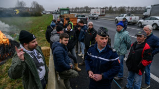 UE enfrenta indignação e protestos de agricultores em vários países