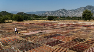 Thousands of carpets sunbathe at Turkish resort