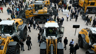 Alemania registra un sorpresivo crecimiento del 0,3% en el tercer trimestre