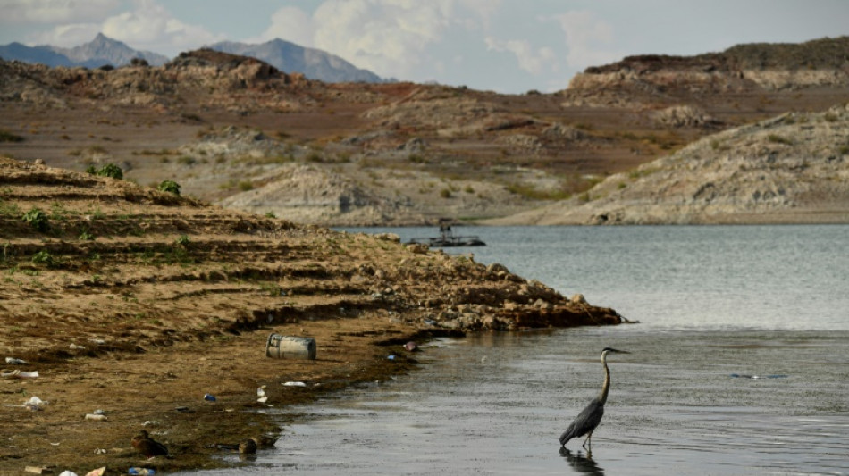 EEUU recorta cuotas de agua del Río Colorado a algunos estados y a México