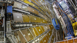 Visto al Cern un evento rarissimo, può indicare nuova fisica