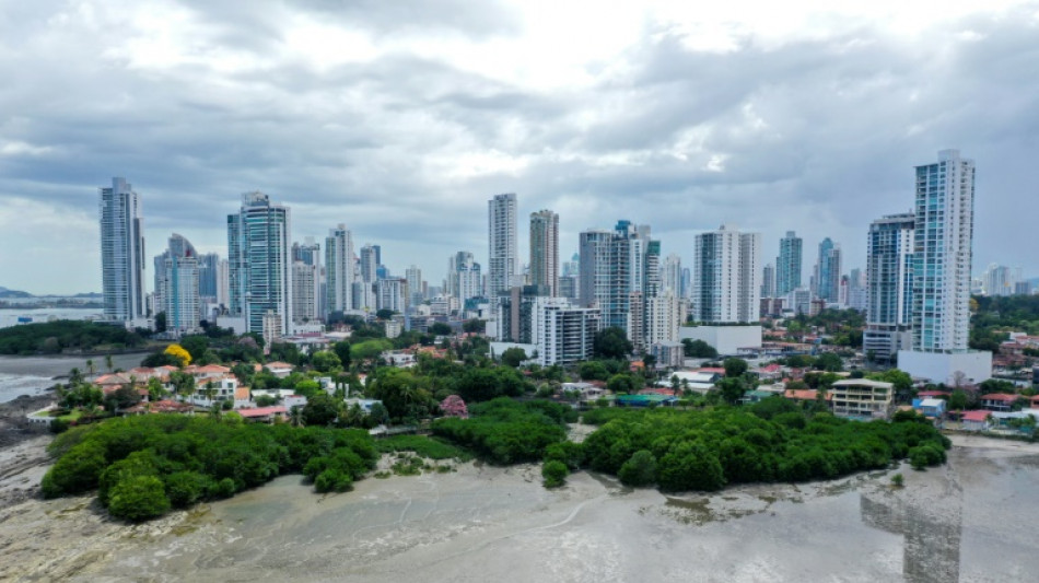 Les mangroves du Panama, étape privilégiée pour les oiseaux migrateurs du continent américain