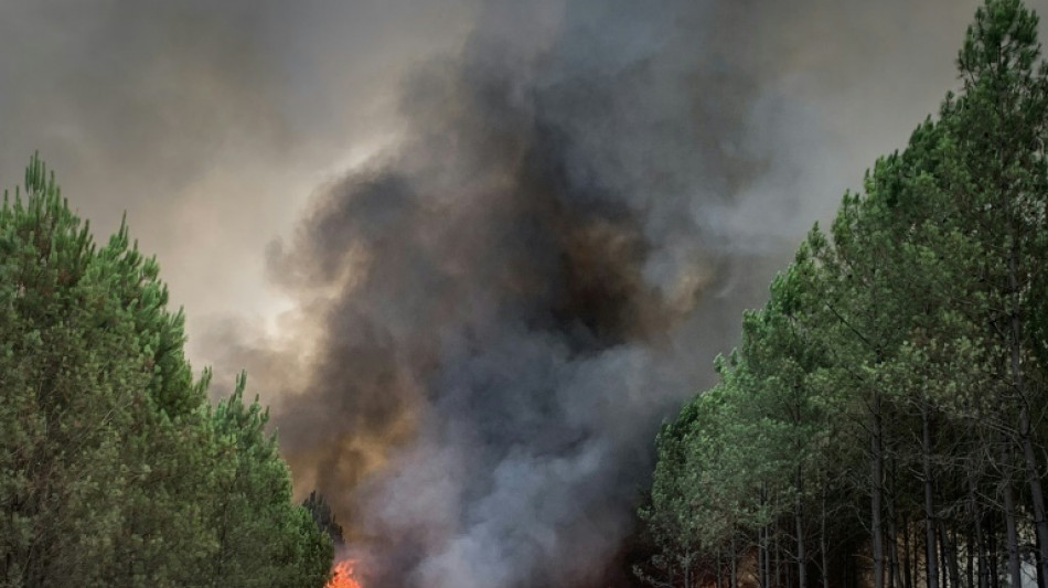 Arson suspected as huge French wildfire reignites