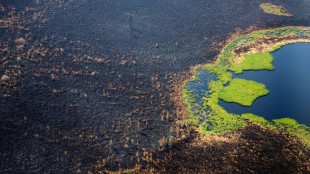 Incendios en el Ártico podrían liberar enormes cantidades de CO2, afirma estudio