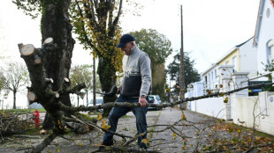 Frau stirbt durch umgestürzten Baum bei schwerem Sturm im Harz