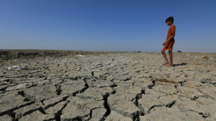 El calentamiento del planeta se acelera y sube +0,2º C por década