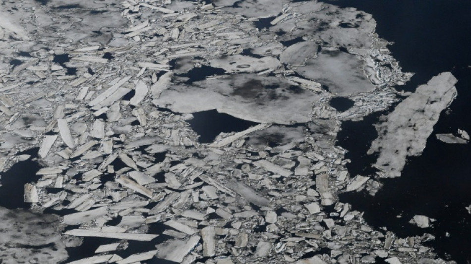 Eisschwund könnte Tierwelt in den Polarmeeren verändern - und damit die Fischerei