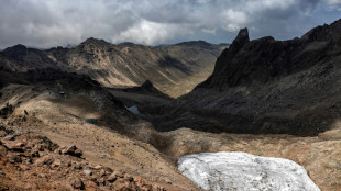 'It was beautiful': Mount Kenya's glaciers melting away