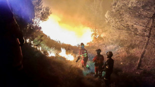 Espagne: 550 personnes évacuées à cause d'un incendie