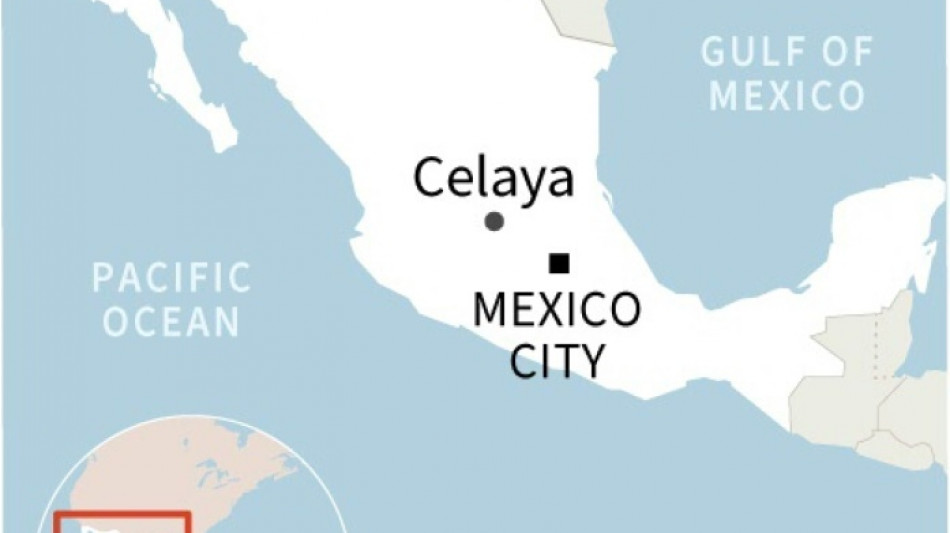 Ten dead in attack on bars, hotel in central Mexico