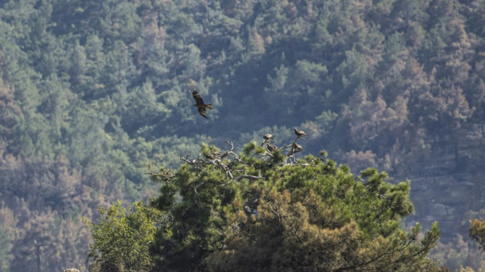 La Grèce critiquée pour son "échec chronique" à protéger la nature