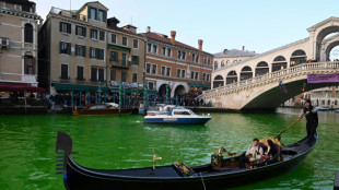 Environmental activists pour green dye in Venice canal