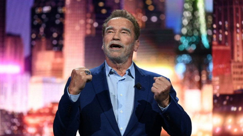 El reloj que le trajo quebraderos de cabeza a Schwarzenegger tiene un "final feliz"