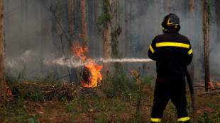 Vague de chaleur au Chili: les incendies menacent d'autres régions