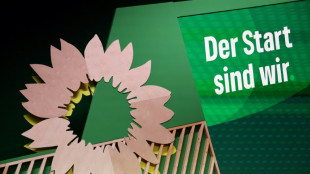 Grüne zu Reform von Schuldenbremse: Union kann uns sehr gern anrufen