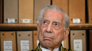 Nobel winner Vargas Llosa recovers from Covid: son