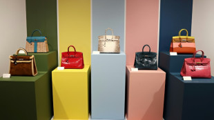 Hermès denuncia a artista estadounidense que vende NFT con la forma del bolso Birkin