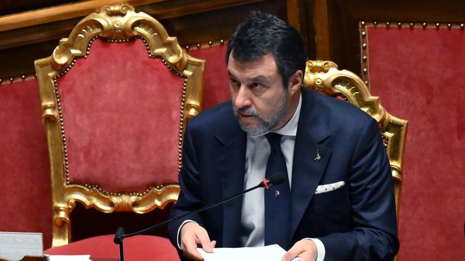 Salvini: 'Gli unici dazi li ha messi Bruxelles'