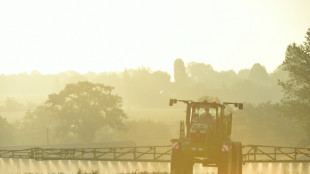 Les Etats de l'UE divisés sur le sort du glyphosate avant un vote crucial