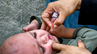 Pakistan Taliban kill police polio escort as vaccination drive starts