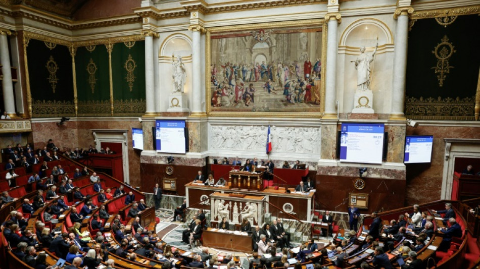 Sem orçamento para 2025, deputados franceses aprovam 'lei especial'  