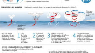 Tempête Hélène aux Etats-Unis: quatre morts et des millions sans électricité