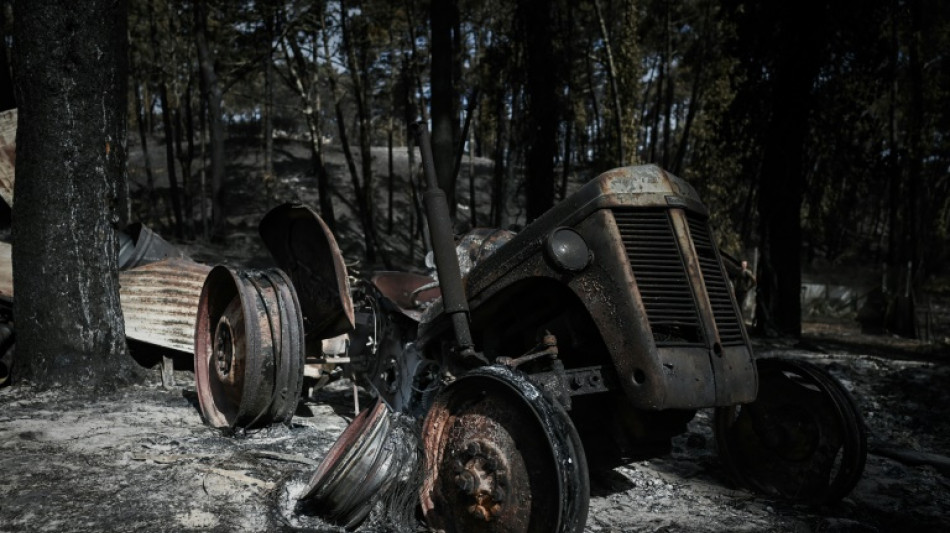 Francia da por controlados los incendios en el suroeste