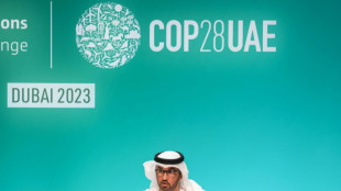 COP28: la présidence émiratie va soumettre un compromis à l'approbation des Etats