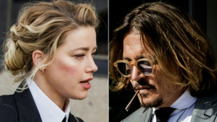 Johnny Depp vs. Amber Heard: los roles secundarios se roban el show