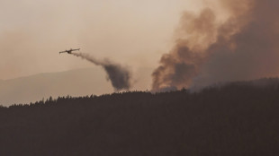 Feuerwehr bekommt riesigen Waldbrand auf Teneriffa in den Griff