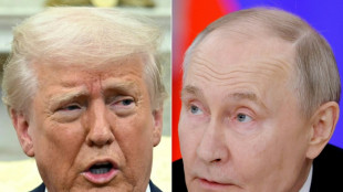 Trump tenta convencer Putin de seu projeto de trégua na Ucrânia